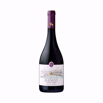 VINO Casa Silva Lago Ranco Pinot Noir 2016
